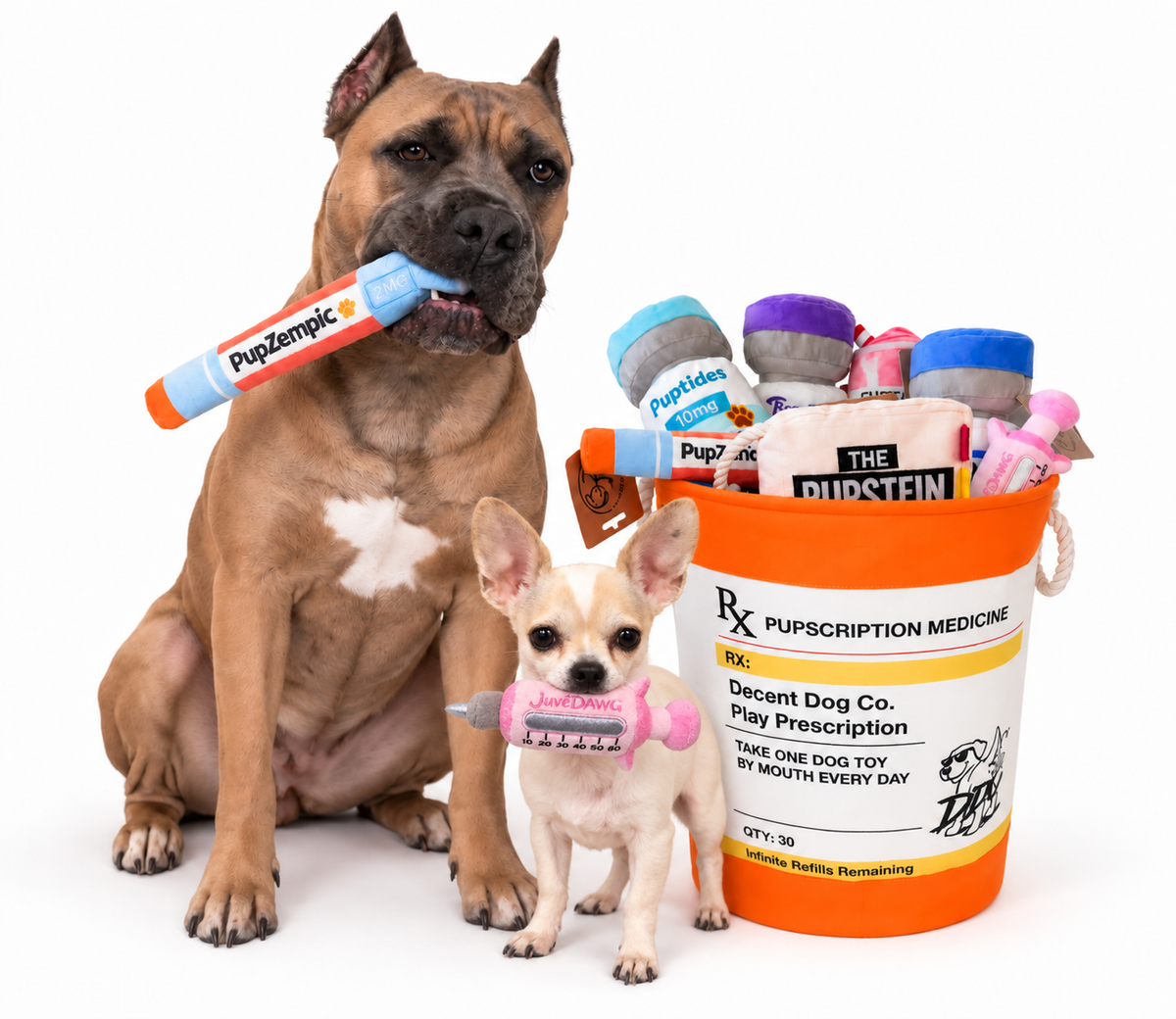 PUPscription Rx dog toy basket, funny prescription-themed toy storage bin – photo 4