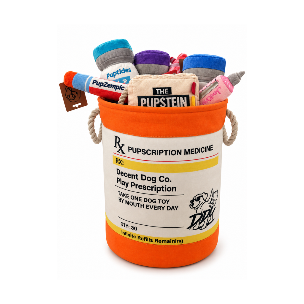 PUPscription Rx dog toy basket, funny prescription-themed toy storage bin