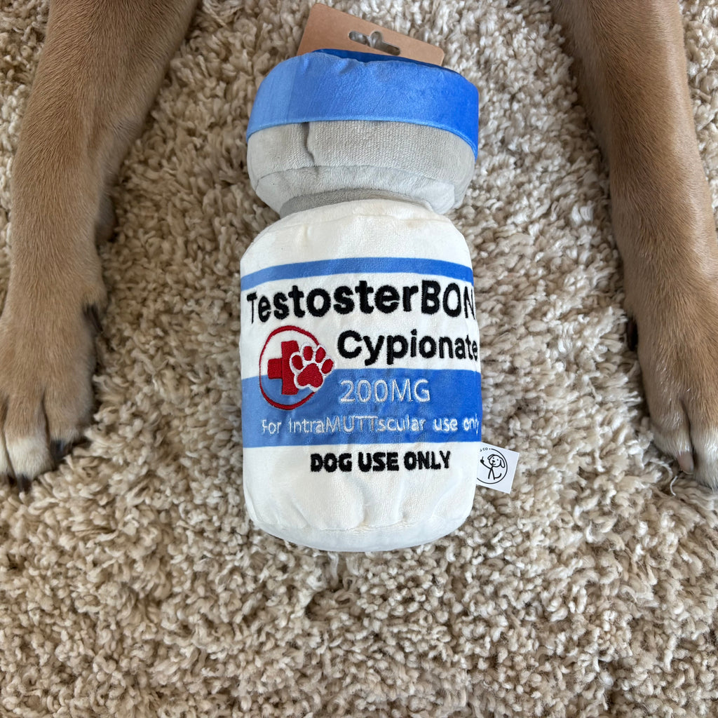 TestosterBONE funny testosterone parody squeaky plush dog toy – photo 4