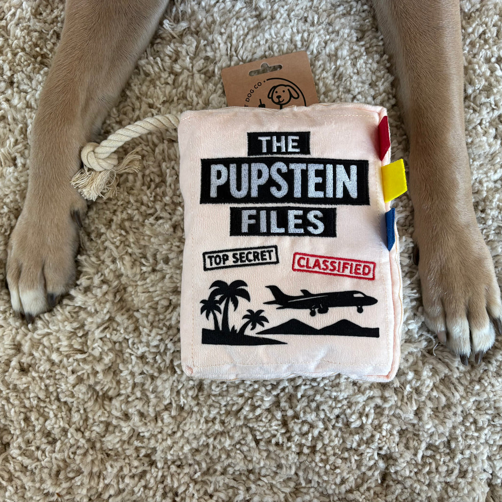 Pupstein Files funny case file parody plush dog toy with rope – photo 4