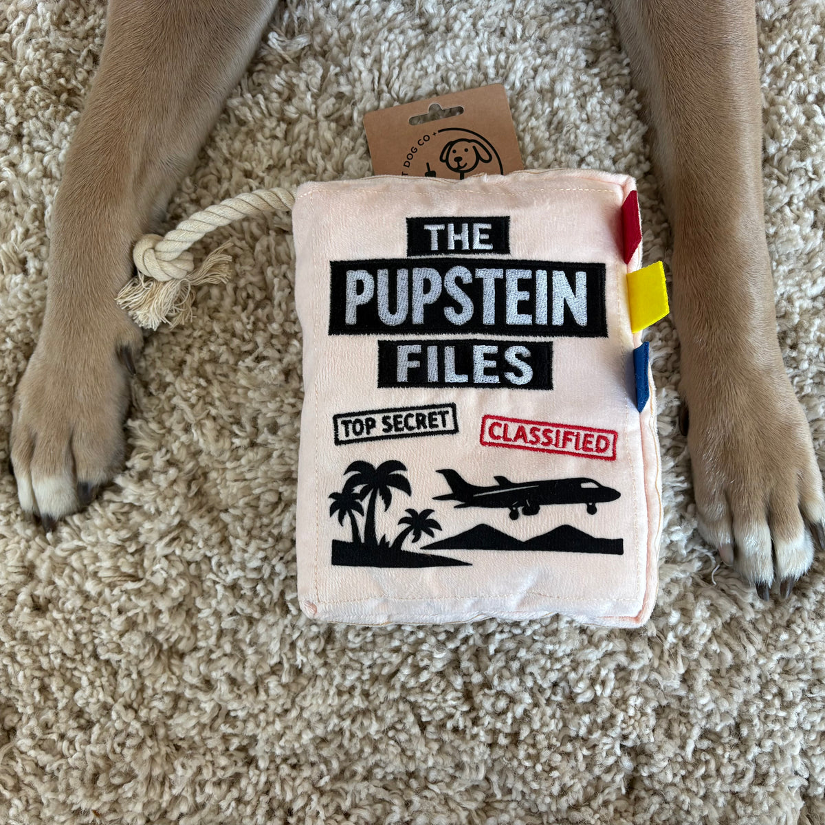 Pupstein Files funny case file parody plush dog toy with rope – photo 4