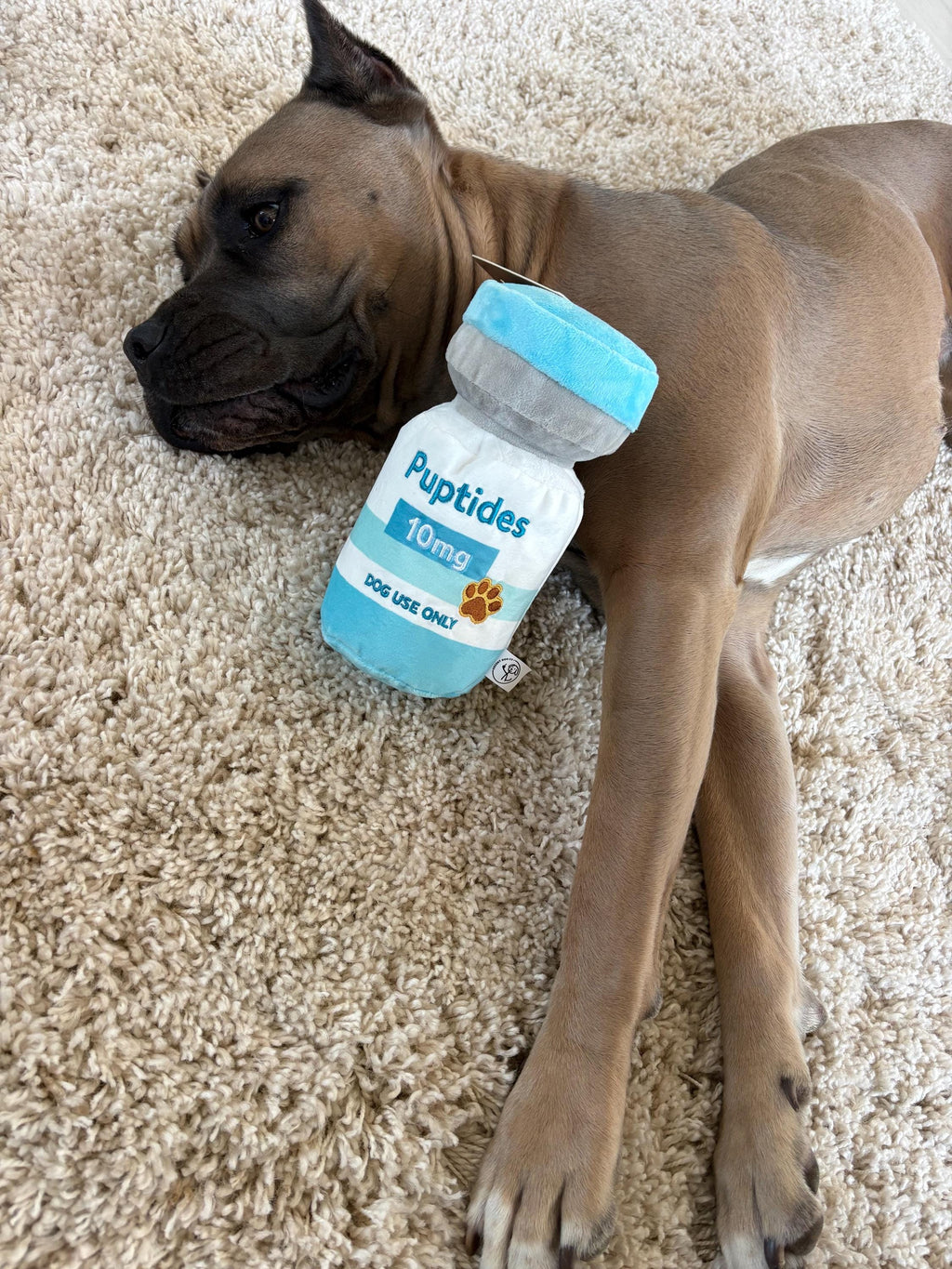 Puptides funny peptide parody squeaky plush dog toy – photo 6