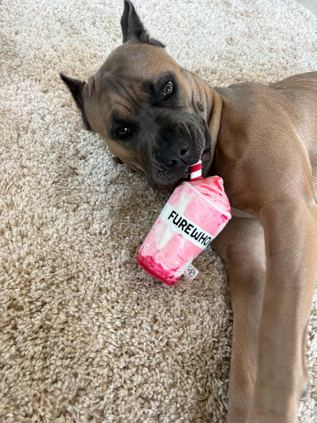 Furewhon Smoothie funny pink smoothie parody plush dog toy – photo 7